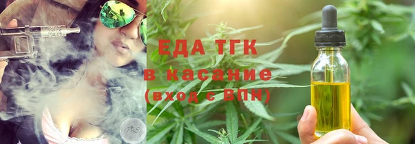 индика Алексин