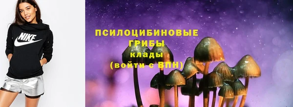дмт Алексеевка