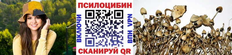 продажа наркотиков  Малая Вишера  Галлюциногенные грибы GOLDEN TEACHER 